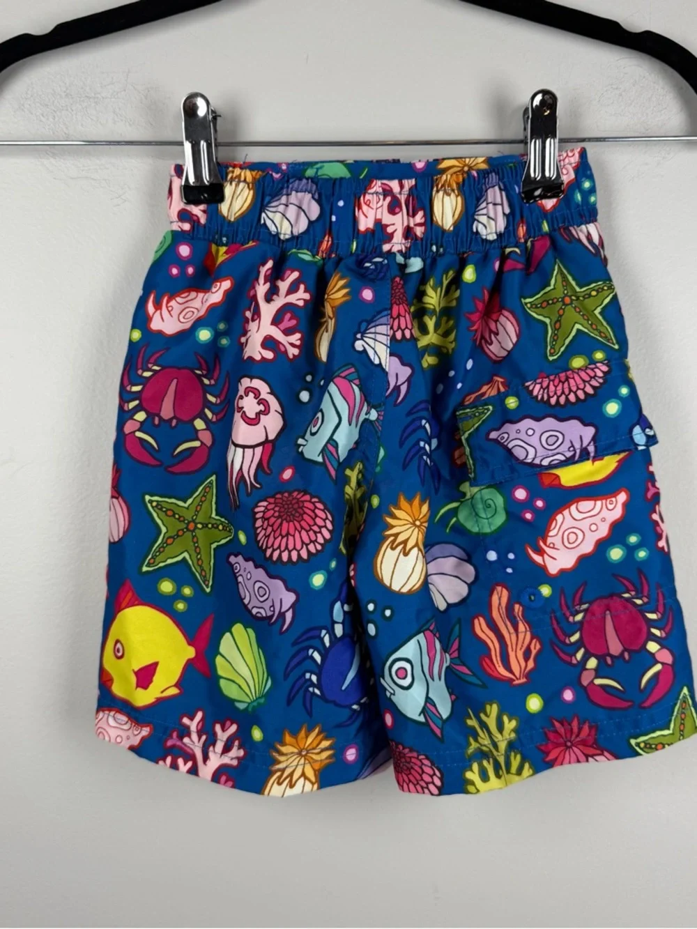 Boy's Spicy Tuna Blue Shells Fish Swim Shorts Lined Trunks Starfish Ocean 3T